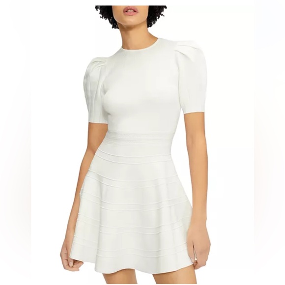 NEW Ted Baker Puffed Sleeve Engineered Skirt Dress